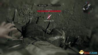 玩家爆料僵尸视频大全集,惊悚揭秘！僵尸视频大全集深度解析  第2张