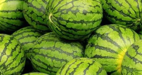 内蒙古网红吃瓜视频大全,趣味横生，笑料百出  第2张